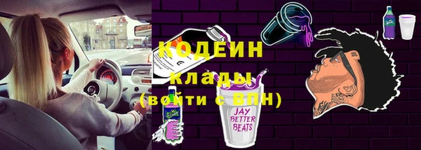 гидра Арсеньев