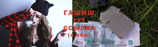 гидра Арсеньев