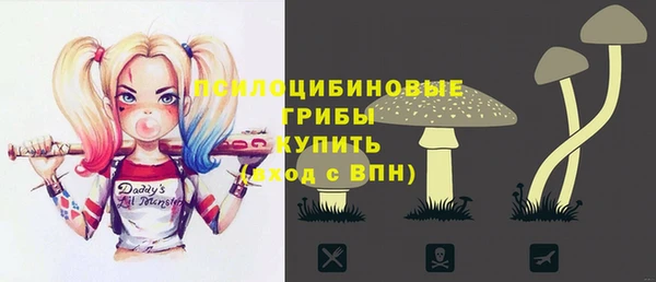 герыч Россошь