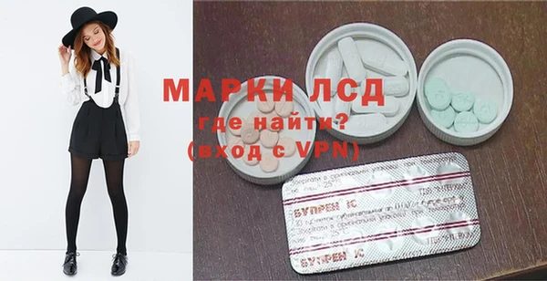 гидра Арсеньев