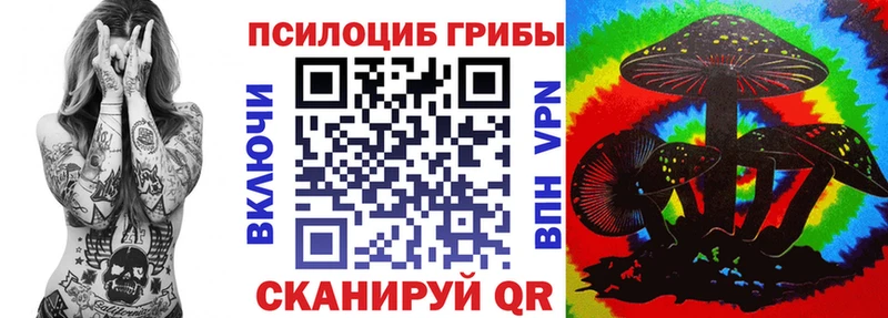 Псилоцибиновые грибы Cubensis  Калязин 